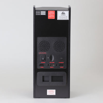 Dragon's Lair x RepliCade Overhaul Black Edition